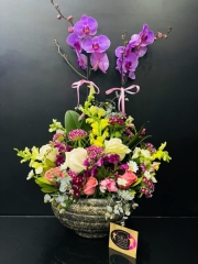 Renkli Orkide Aranjmanı Karışık Çiçek Şık Taş içinde