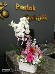 2 Dallı Beyaz Orkide Aranjmanı Karışık Renk Çiçek