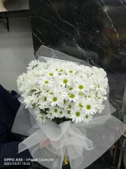 Beyaz Papatya Buketi Kır Çiçeği