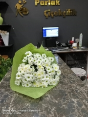 Beyaz Yeşil Papatya Buketi Kır Çiçek